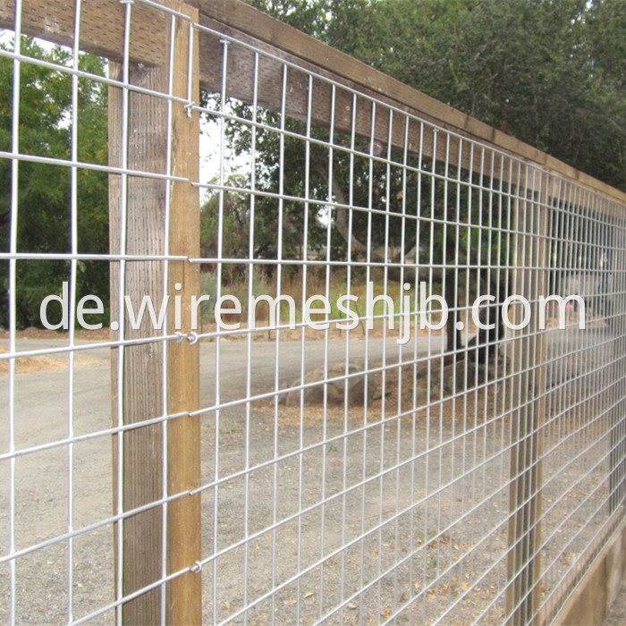 Stainless Steel Welded Mesh